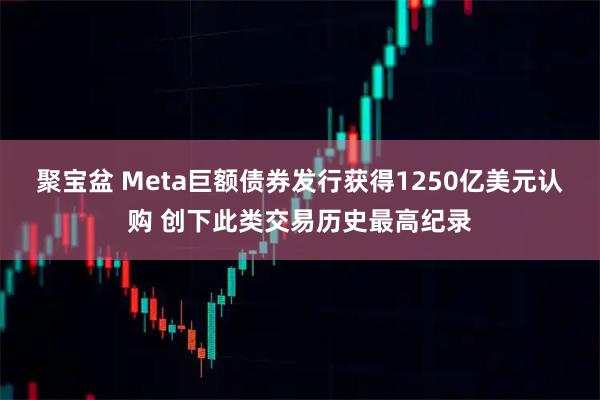 聚宝盆 Meta巨额债券发行获得1250亿美元认购 创下此类交易历史最高纪录