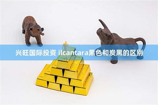 兴旺国际投资 ilcantara黑色和炭黑的区别